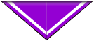 Warwick University Guides and Scouts